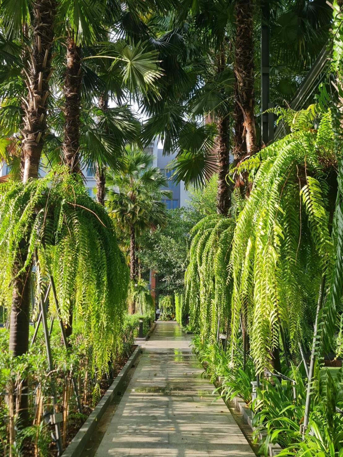 Aisana Korat Hotel 4*